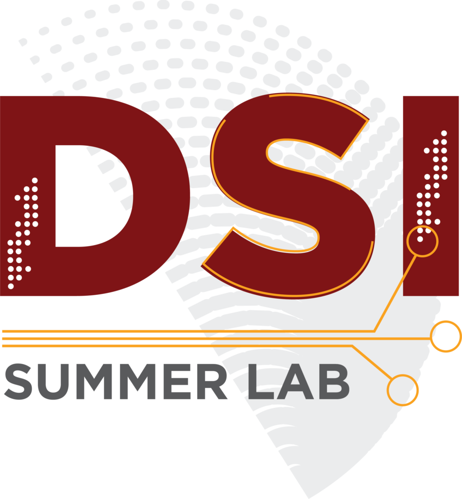 DSI Summer Lab 2022 Information Session DSI