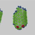Fig: Formation of HIV capsid simulated by a coarse-grained model.
From: https://www.google.com/url?q=https://www.science.org/doi/epdf/10.1126/sciadv.add7434&sa=D&source=docs&ust=1715014663521469&usg=AOvVaw3fATTBC_yAvxPv6WPYI17_